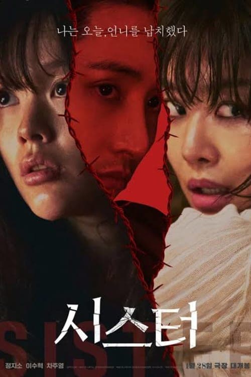 Sister Subtitle Indonesia
